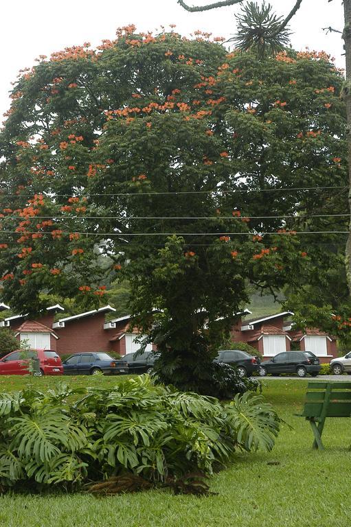 Park Mantiqueira