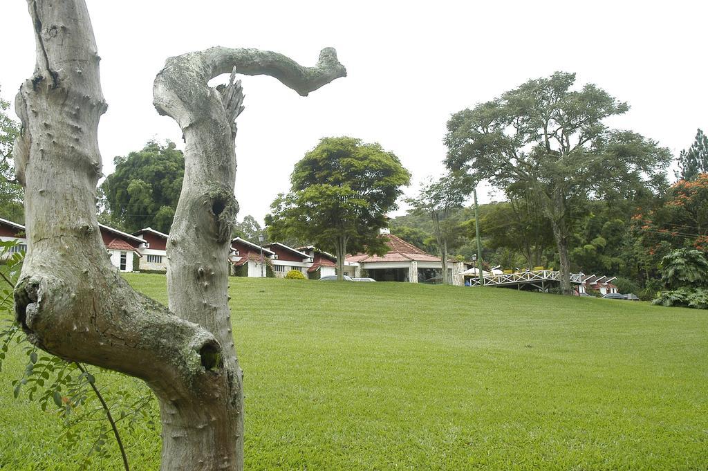 Park Mantiqueira